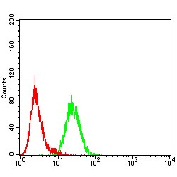 Ras-Related Protein Rab-5A (Rab5a) Antibody