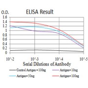 Fig. 1. Figure 1:Black line: Control Antigen (100 ng)Purple line: Antigen (10ng); Blue line: Antigen (50 ng); Red line:Antigen (100 ng)