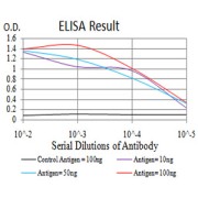 Fig. 1. Figure 1:Black line: Control Antigen (100 ng)Purple line: Antigen (10ng); Blue line: Antigen (50 ng); Red line:Antigen (100 ng)