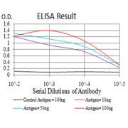 Fig. 1. Figure 1:Black line: Control Antigen (100 ng)Purple line: Antigen (10ng); Blue line: Antigen (50 ng); Red line:Antigen (100 ng)