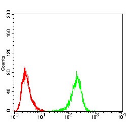 Serine/threonine-Protein Kinase ULK2 (ULK2) Antibody