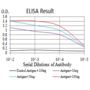 Fig. 1. Figure 1:Black line: Control Antigen (100 ng)Purple line: Antigen (10ng); Blue line: Antigen (50 ng); Red line:Antigen (100 ng)