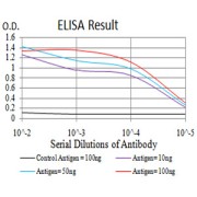 Fig. 1. Figure 1:Black line: Control Antigen (100 ng)Purple line: Antigen (10ng); Blue line: Antigen (50 ng); Red line:Antigen (100 ng)