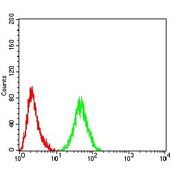 Proline-, Glutamic Acid- And Leucine-Rich Protein 1 (PELP1) Antibody