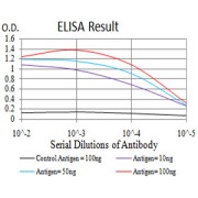 Fig. 1. Figure 1:Black line: Control Antigen (100 ng)Purple line: Antigen (10ng); Blue line: Antigen (50 ng); Red line:Antigen (100 ng)