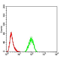 TNF Receptor-Associated Factor 2 (TRAF2) Antibody