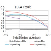 Fig. 1. Figure 1:Black line: Control Antigen (100 ng)Purple line: Antigen (10ng); Blue line: Antigen (50 ng); Red line:Antigen (100 ng)