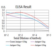 Fig. 1. Figure 1:Black line: Control Antigen (100 ng)Purple line: Antigen (10ng); Blue line: Antigen (50 ng); Red line:Antigen (100 ng)