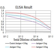 Fig. 1. Figure 1:Black line: Control Antigen (100 ng)Purple line: Antigen (10ng); Blue line: Antigen (50 ng); Red line:Antigen (100 ng)