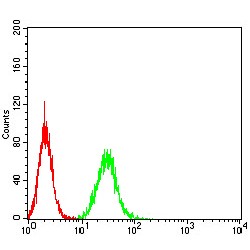 Membrane-Associated Progesterone Receptor Component 1 (PGRMC1) Antibody