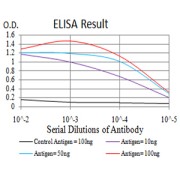 Fig. 1. Figure 1:Black line: Control Antigen (100 ng)Purple line: Antigen (10ng); Blue line: Antigen (50 ng); Red line:Antigen (100 ng)