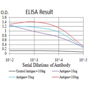 Fig. 1. Figure 1:Black line: Control Antigen (100 ng)Purple line: Antigen (10ng); Blue line: Antigen (50 ng); Red line:Antigen (100 ng)