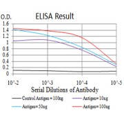 Fig. 1. Figure 1:Black line: Control Antigen (100 ng)Purple line: Antigen (10ng); Blue line: Antigen (50 ng); Red line:Antigen (100 ng)