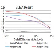 Fig. 1. Figure 1:Black line: Control Antigen (100 ng)Purple line: Antigen (10ng); Blue line: Antigen (50 ng); Red line:Antigen (100 ng)