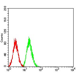 Superoxide Dismutase 2 (SOD2) Antibody