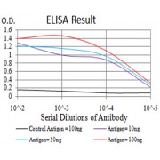 Fig. 1. Figure 1:Black line: Control Antigen (100 ng)Purple line: Antigen (10ng); Blue line: Antigen (50 ng); Red line:Antigen (100 ng)