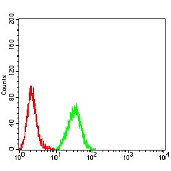 Mucin-5AC (MUC5AC) Antibody