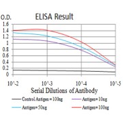 Fig. 1. Figure 1:Black line: Control Antigen (100 ng)Purple line: Antigen (10ng); Blue line: Antigen (50 ng); Red line:Antigen (100 ng)