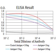 Fig. 1. Figure 1:Black line: Control Antigen (100 ng)Purple line: Antigen (10ng); Blue line: Antigen (50 ng); Red line:Antigen (100 ng)