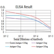 Fig. 1. Figure 1:Black line: Control Antigen (100 ng)Purple line: Antigen (10ng); Blue line: Antigen (50 ng); Red line:Antigen (100 ng)