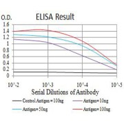 Fig. 1. Figure 1:Black line: Control Antigen (100 ng)Purple line: Antigen (10ng); Blue line: Antigen (50 ng); Red line:Antigen (100 ng)