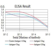 Fig. 1. Figure 1:Black line: Control Antigen (100 ng)Purple line: Antigen (10ng); Blue line: Antigen (50 ng); Red line:Antigen (100 ng)