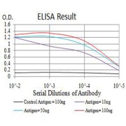 Fig. 1. Figure 1:Black line: Control Antigen (100 ng)Purple line: Antigen (10ng); Blue line: Antigen (50 ng); Red line:Antigen (100 ng)