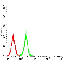 Set1/Ash2 Histone Methyltransferase Complex Subunit ASH2 (ASH2L) Antibody