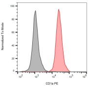 Detection of human CD1a on the surface of MOLT-4 cells using anti-human CD1a PE.