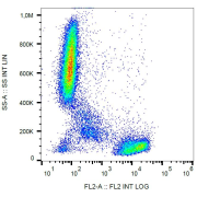 Surface staining of CD2 in human peripheral blood with anti-CD2 (TS1/8) PE.