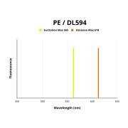 Fluorescence emission spectra of PE/DL 594.