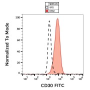 Surface staining of K562 cells added to human blood using CD30 Antibody (FITC).