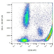 Surface staining of CD36 in human peripheral blood with anti-CD36 APC.