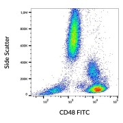 Surface staining of human peripheral blood using CD48 Antibody (FITC).