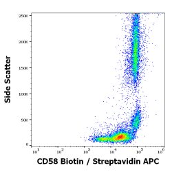 CD58 Antibody (Biotin)