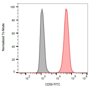 Surface staining of HL-60 (positive) and SP2 (negative) cells with anti-human CD59 FITC.