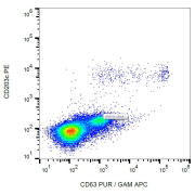 Flow cytometry analysis of IgE-activated peripheral blood stained with anti-human CD63 (MEM-259) purified, GAM-APC.