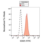 Surface staining of human peripheral blood leukocytes using CD21 Antibody (FITC).