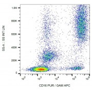 Surface staining of CD16 in human peripheral blood with anti-CD16 purified / GAM-APC.