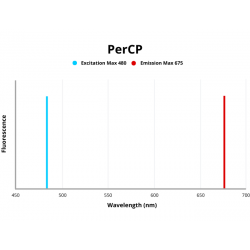 Alpha-(1,3)-Fucosyltransferase 4 (FUT4) Antibody (PerCP)