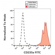 Surface staining of human peripheral blood using CD235a Antibody (FITC).