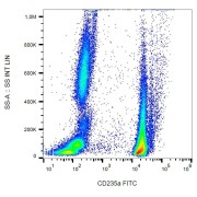 Surface staining of CD235a in human peripheral blood (erythrocytes and leukocytes) with anti-CD235a FITC.