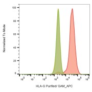 Flow cytometry analysis of Surface staining of HLA-G (on transfected cells) using HLA-G Antibody.