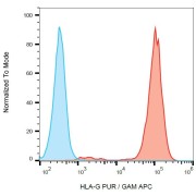 Surface staining of HLA-G in HLA-G transfectants using anti-HLA-G and APC conjugated Goat Anti-Mouse secondary antibody.