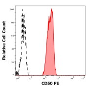 Flow cytometry analysis of human peripheral whole blood stained using CD50 antibody conjugated to PE (1 μg/ml).