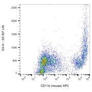 Surface staining of CD11b in murine peritoneal fluid with anti-CD11b APC.