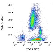 Surface staining of human peripheral blood with anti-human CD29 purified, GAM-APC.