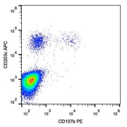 Surface staining of IgE-stimulated human peripheral blood with CD107b Antibody (PE).