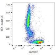 Surface staining of human peripheral blood cells with anti-human CD229 PE.