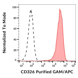 Epithelial Cell Adhesion Molecule (EPCAM) Antibody